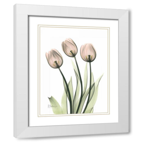 Three Pale Pink Tulips White Modern Wood Framed Art Print with Double Matting by Koetsier, Albert