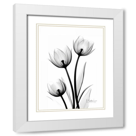 Tulips High Contrast White Modern Wood Framed Art Print with Double Matting by Koetsier, Albert