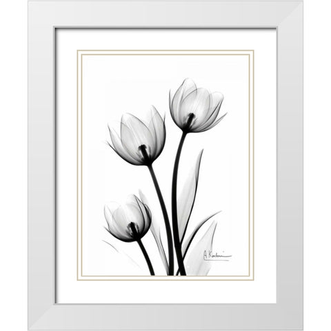 Tulips High Contrast White Modern Wood Framed Art Print with Double Matting by Koetsier, Albert