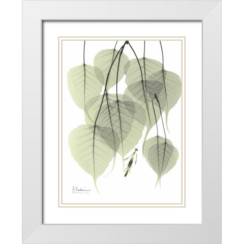 Bo Tree_L264 White Modern Wood Framed Art Print with Double Matting by Koetsier, Albert