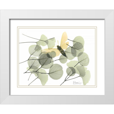 Explosion of Spring_L245 White Modern Wood Framed Art Print with Double Matting by Koetsier, Albert