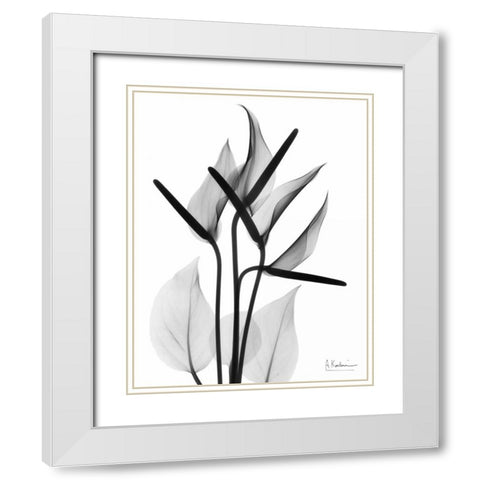 Flamingo Cq White Modern Wood Framed Art Print with Double Matting by Koetsier, Albert