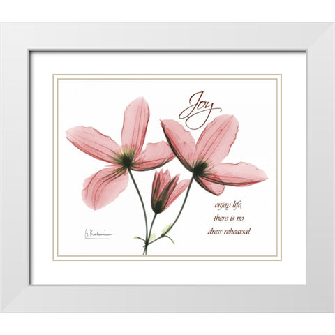 Clematis - Joy White Modern Wood Framed Art Print with Double Matting by Koetsier, Albert