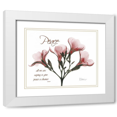 Oleander - Peace White Modern Wood Framed Art Print with Double Matting by Koetsier, Albert