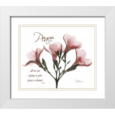 Oleander - Peace White Modern Wood Framed Art Print with Double Matting by Koetsier, Albert