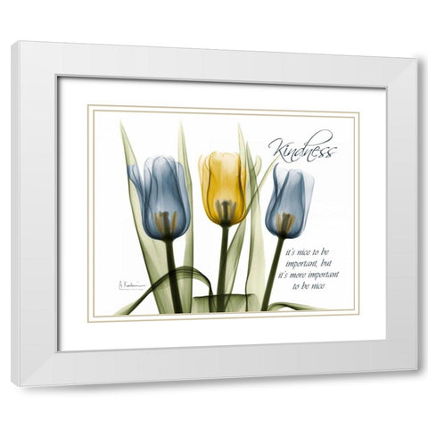 Tulip - Kindness White Modern Wood Framed Art Print with Double Matting by Koetsier, Albert
