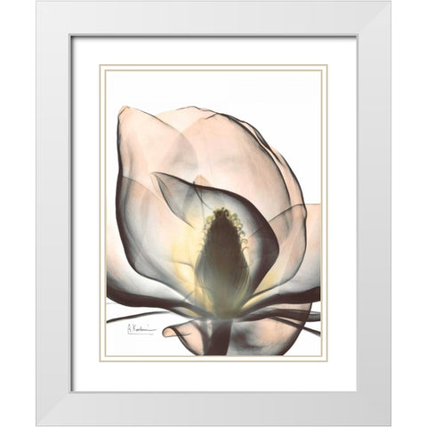 Magnolia Close Up White Modern Wood Framed Art Print with Double Matting by Koetsier, Albert