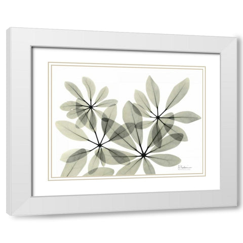 Scheffleur in Green White Modern Wood Framed Art Print with Double Matting by Koetsier, Albert