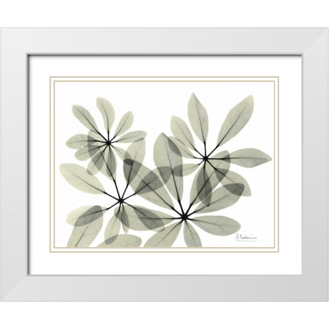 Scheffleur in Green White Modern Wood Framed Art Print with Double Matting by Koetsier, Albert