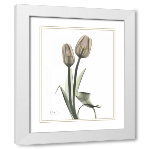 Tulip - Marjorie White Modern Wood Framed Art Print with Double Matting by Koetsier, Albert