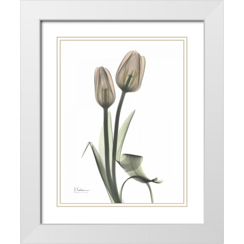 Tulip - Marjorie White Modern Wood Framed Art Print with Double Matting by Koetsier, Albert