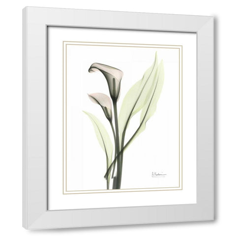 Calla - Marjorie White Modern Wood Framed Art Print with Double Matting by Koetsier, Albert