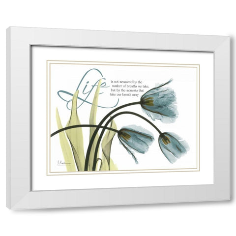Life Tulips White Modern Wood Framed Art Print with Double Matting by Koetsier, Albert