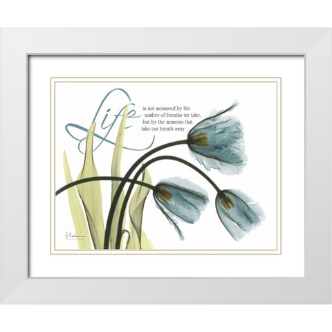 Life Tulips White Modern Wood Framed Art Print with Double Matting by Koetsier, Albert