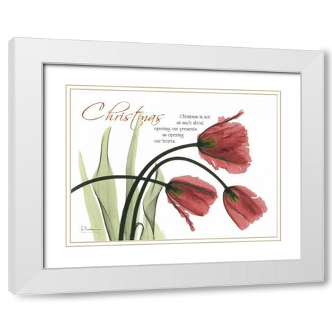 Christmas Tulips White Modern Wood Framed Art Print with Double Matting by Koetsier, Albert