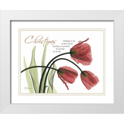 Christmas Tulips White Modern Wood Framed Art Print with Double Matting by Koetsier, Albert