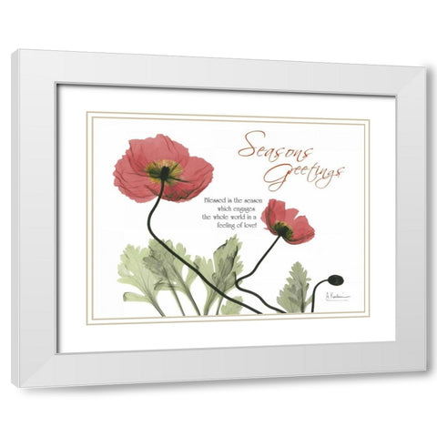 Iceland Poppies Seasons White Modern Wood Framed Art Print with Double Matting by Koetsier, Albert