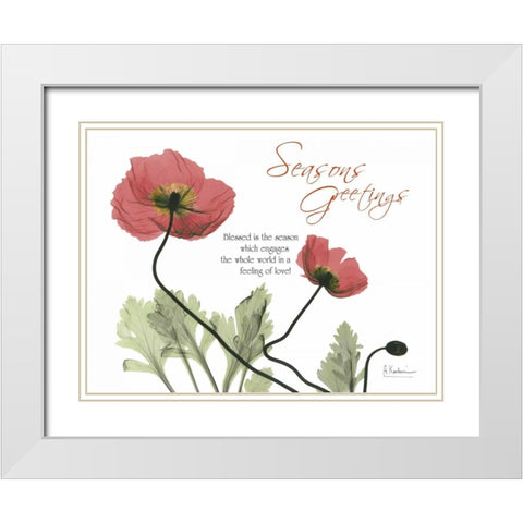 Iceland Poppies Seasons White Modern Wood Framed Art Print with Double Matting by Koetsier, Albert