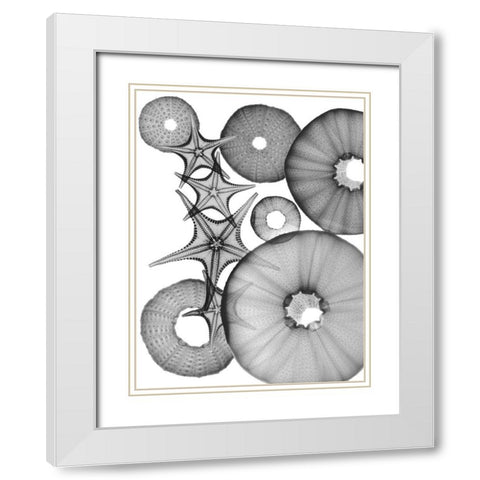 Universe Of Pythagoras White Modern Wood Framed Art Print with Double Matting by Koetsier, Albert