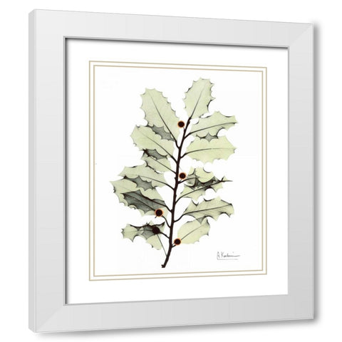 Holly in Green White Modern Wood Framed Art Print with Double Matting by Koetsier, Albert