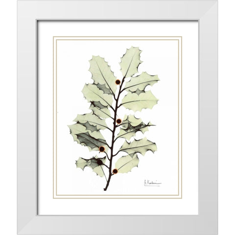 Holly in Green White Modern Wood Framed Art Print with Double Matting by Koetsier, Albert