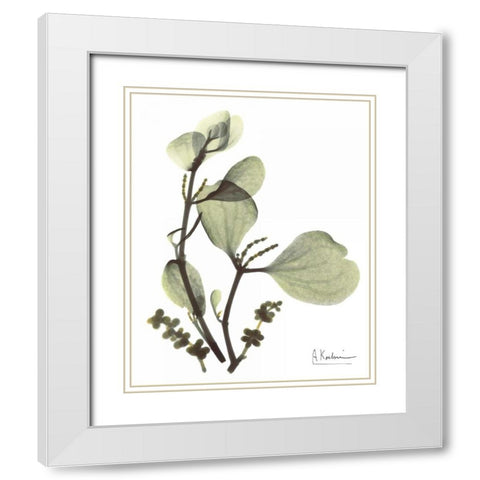 Mistle Toe in Green White Modern Wood Framed Art Print with Double Matting by Koetsier, Albert