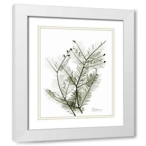 Evergreen in Green White Modern Wood Framed Art Print with Double Matting by Koetsier, Albert