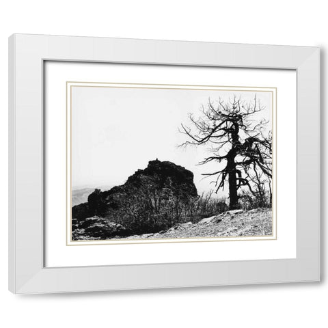 Bodi Kid Lookout White Modern Wood Framed Art Print with Double Matting by Koetsier, Albert