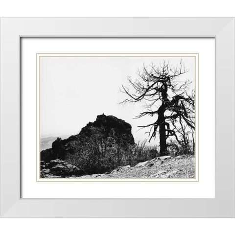 Bodi Kid Lookout White Modern Wood Framed Art Print with Double Matting by Koetsier, Albert