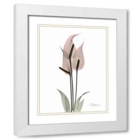 Pink Flamingo White Modern Wood Framed Art Print with Double Matting by Koetsier, Albert