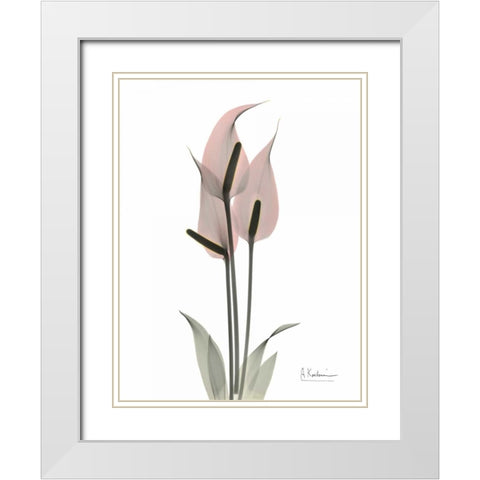 Pink Flamingo White Modern Wood Framed Art Print with Double Matting by Koetsier, Albert