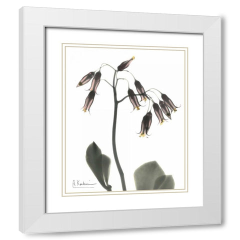 Kalan Chloe in Color White Modern Wood Framed Art Print with Double Matting by Koetsier, Albert
