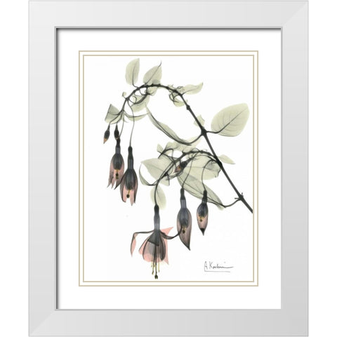 Fuchsia in Color White Modern Wood Framed Art Print with Double Matting by Koetsier, Albert