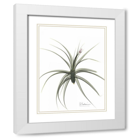 Zero Entropy White Modern Wood Framed Art Print with Double Matting by Koetsier, Albert