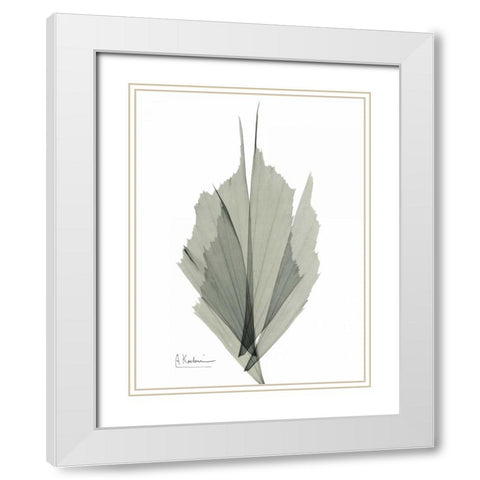 Fish Tail Caryola White Modern Wood Framed Art Print with Double Matting by Koetsier, Albert