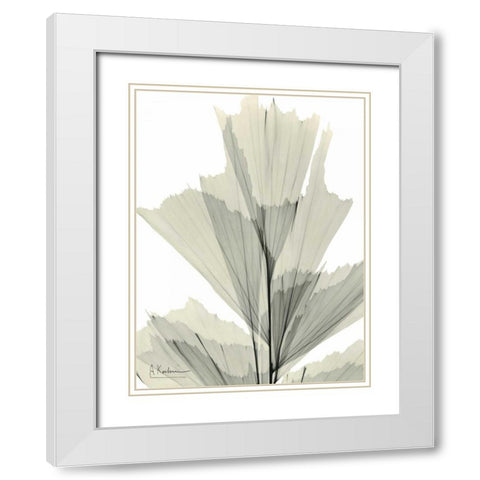 Fish Tail Palm Caryola White Modern Wood Framed Art Print with Double Matting by Koetsier, Albert