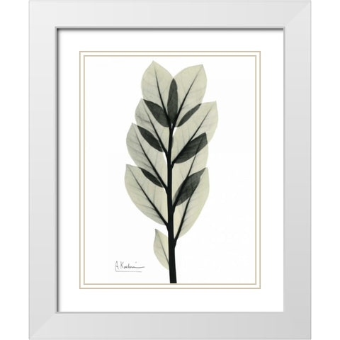 Zan Zibar Gem White Modern Wood Framed Art Print with Double Matting by Koetsier, Albert