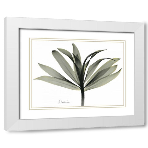 Sons of India Dracaena White Modern Wood Framed Art Print with Double Matting by Koetsier, Albert