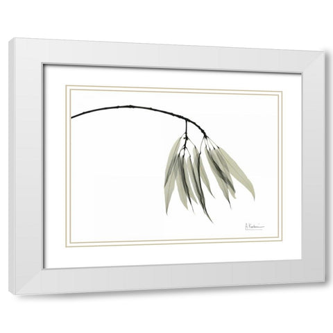 Bottle Tree White Modern Wood Framed Art Print with Double Matting by Koetsier, Albert