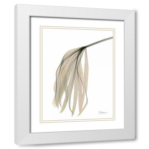 Papyrus in Pink White Modern Wood Framed Art Print with Double Matting by Koetsier, Albert
