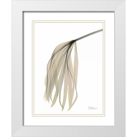 Papyrus in Pink White Modern Wood Framed Art Print with Double Matting by Koetsier, Albert