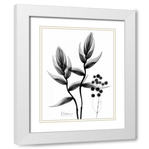 Heliconia Arrangement BandW White Modern Wood Framed Art Print with Double Matting by Koetsier, Albert