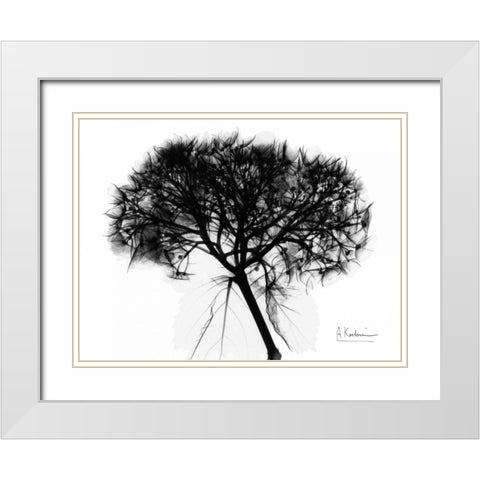 Hydrangea  Bunch In BandW White Modern Wood Framed Art Print with Double Matting by Koetsier, Albert