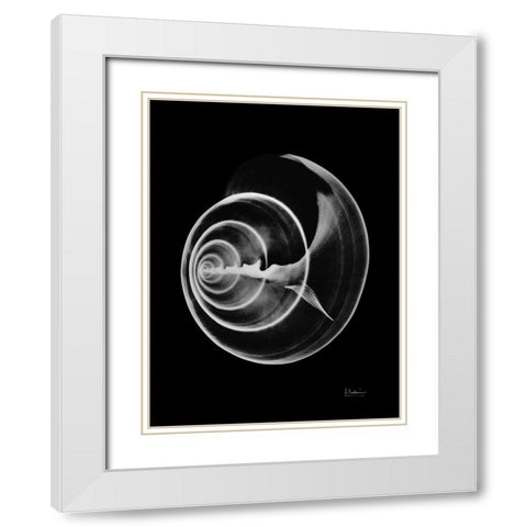 Seas Alive on Black White Modern Wood Framed Art Print with Double Matting by Koetsier, Albert