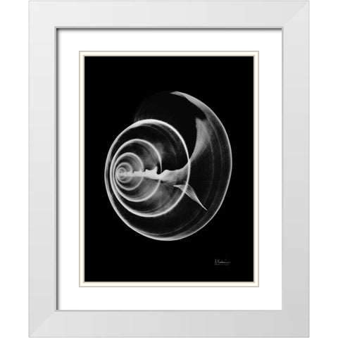 Seas Alive on Black White Modern Wood Framed Art Print with Double Matting by Koetsier, Albert