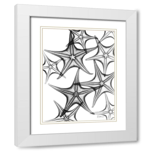 Starfish White Modern Wood Framed Art Print with Double Matting by Koetsier, Albert