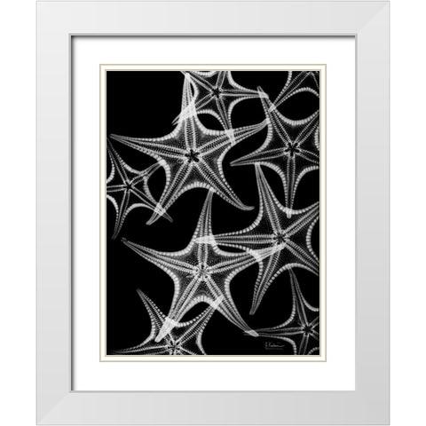 Starfish Spray White Modern Wood Framed Art Print with Double Matting by Koetsier, Albert