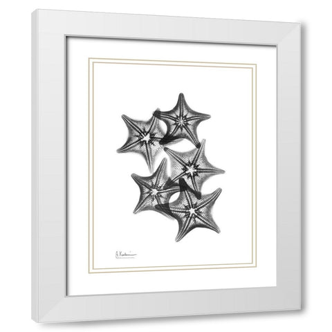 Starfish White Modern Wood Framed Art Print with Double Matting by Koetsier, Albert