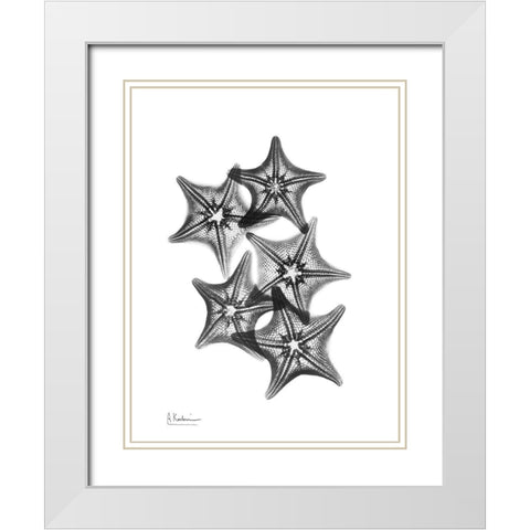 Starfish White Modern Wood Framed Art Print with Double Matting by Koetsier, Albert