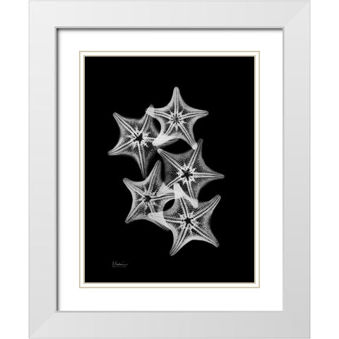 Starfish Collage White Modern Wood Framed Art Print with Double Matting by Koetsier, Albert